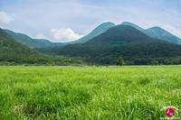 Tadewara Marsh
